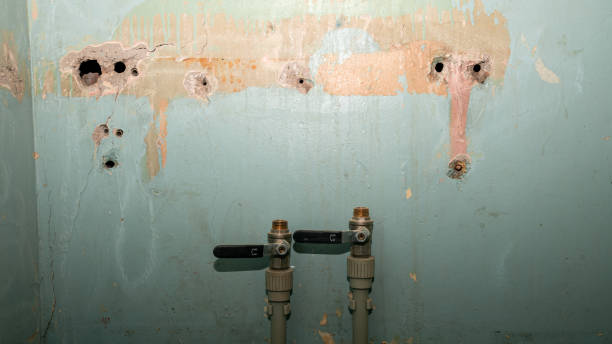 Best Carpet water damage restoration  in Lincoln, IL