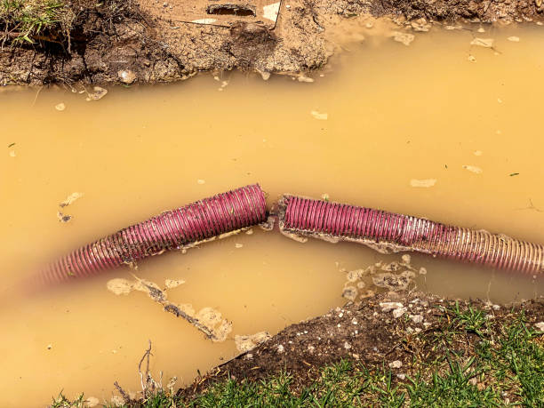Best Sewage cleanup and water damage restoration  in Lincoln, IL